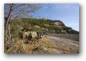 Foto di Giulio Sagradini  &raquo; Click to zoom ->