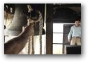 Foto di Giulio Sagradini  &raquo; Click to zoom ->